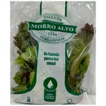 Alface-Roxa-Higienizada-Morro-Alto-150g