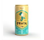 Cerveja Praya Receita Clássica 269ml