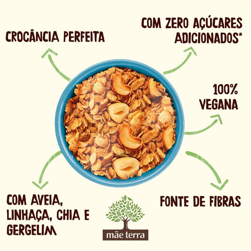 Granola-Tradicional-Zero-Acucar-Mae-Terra-Pacote-250g