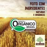 Salgadinho-Organico-Infantil-Mae-Terra-Zooreta-Queijo-45-g