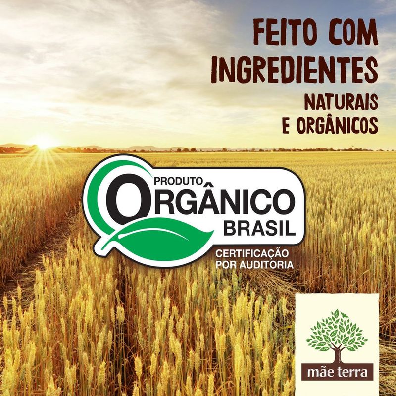 Salgadinho-Organico-Infantil-Mae-Terra-Zooreta-Queijo-45-g