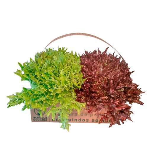 Cestinha Mini Crispy Agrícola Dourada