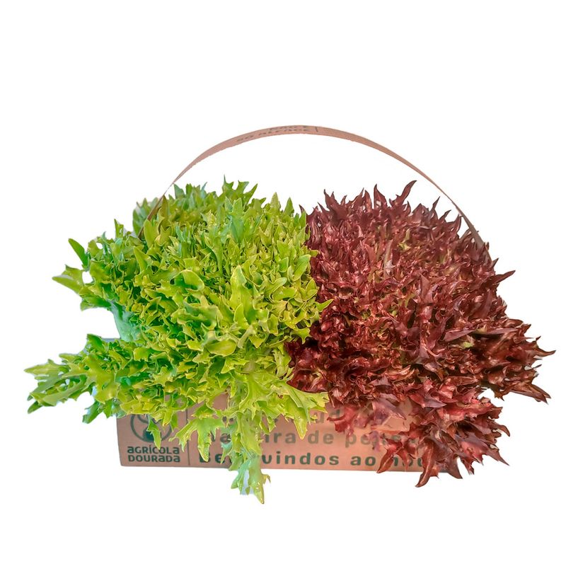 Cestinha-Mini-Crispy-Agricola-Dourada