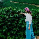 Cafe-em-Grao-Tassinari-Nina-250g