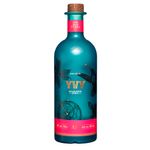 Gin-Brasileiro-Yvy-Ar-Garrafa-750ml