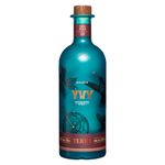 Gin-Brasileiro-Yvy-Terra-Garrafa-750ml
