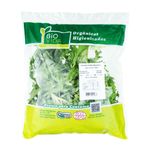Chicoria-Frizze-Organica-Higienizada-Bio-Vida