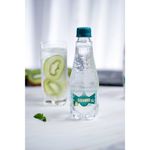 Agua-Mineral-Caxambu-com-Gas-Garrafa-330ml