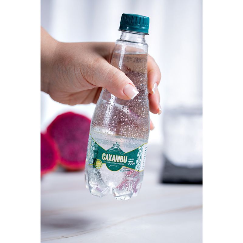 Agua-Mineral-Caxambu-com-Gas-Garrafa-330ml