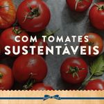 Ketchup-Hellmanns-Tradicional-380g