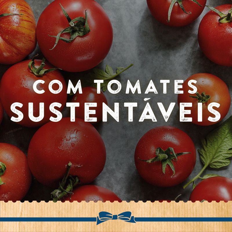 Ketchup-Hellmanns-Tradicional-380g