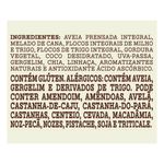 Granola-Sem-Adicao-de-Acucar-Mae-Terra-Frutas-e-Mel-250g