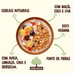 Granola-Sem-Adicao-de-Acucar-Mae-Terra-Frutas-e-Mel-250g