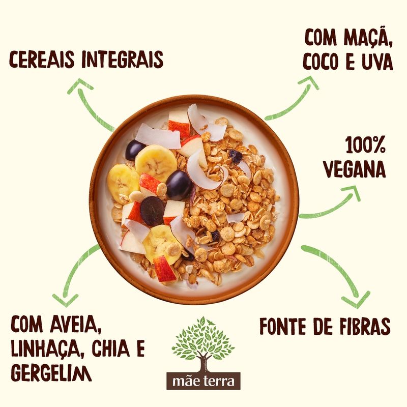 Granola-Sem-Adicao-de-Acucar-Mae-Terra-Frutas-e-Mel-250g