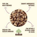 Pipoca-Pronta-Organica-Vegana-Mae-Terra-Nupoca-Cacau-45g