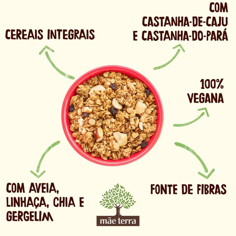 Granola-Tradicional-com-Castanhas-Mae-Terra-800g