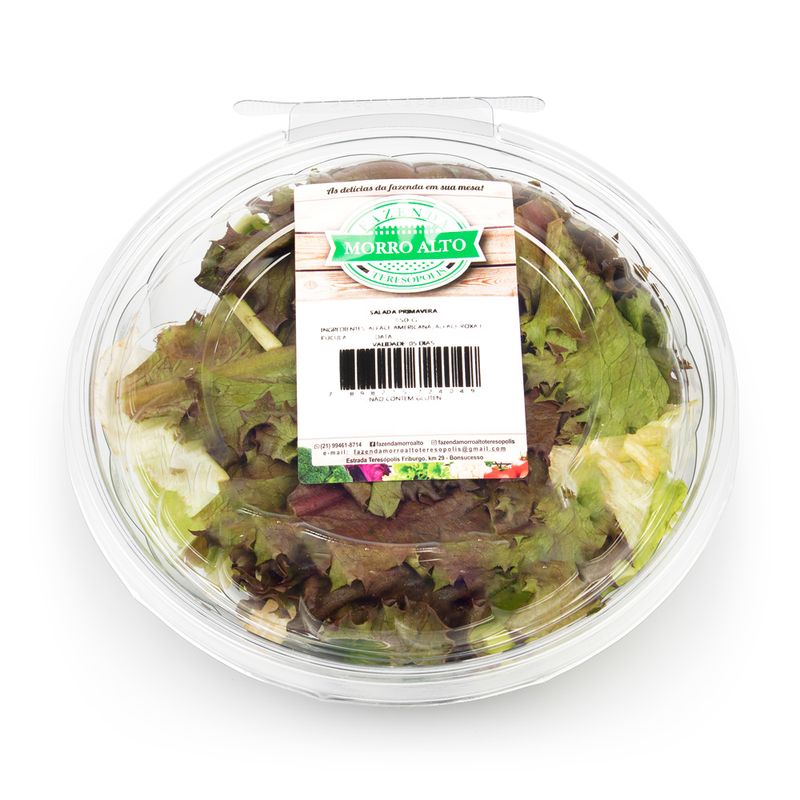 Salada-Primavera-Higienizada-Morro-Alto-180g