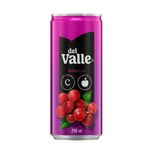Nectar-Del-Valle-Uva-Lata-290ml