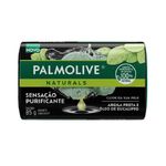 SAB-PALMOLIVE-ARGILA-EUCALIPTO-85G
