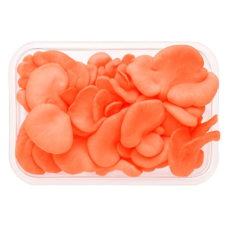 Cogumelo-Shimeji-Salmao-100--Livre-200g