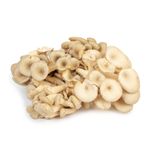 VF4qT-qqCUAAAAAAAAbx4Q