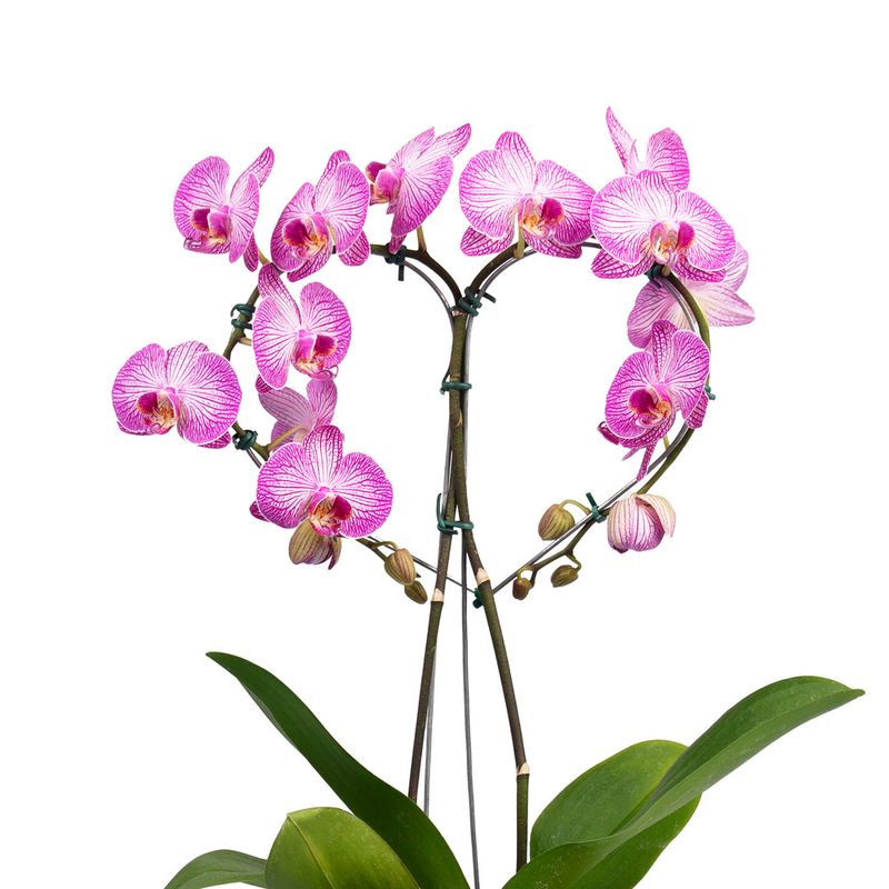 VF4qT-qqCUAAAAAAAAoBPA