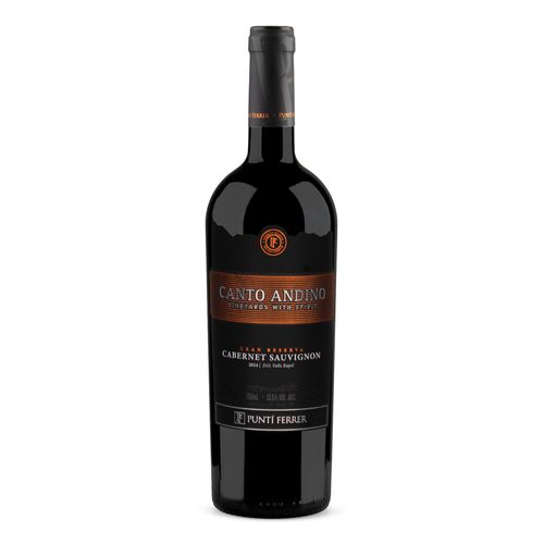 Vinho Tinto Chileno Cabernet Sauvignon Gran Reserva Canto Andino 750ml
