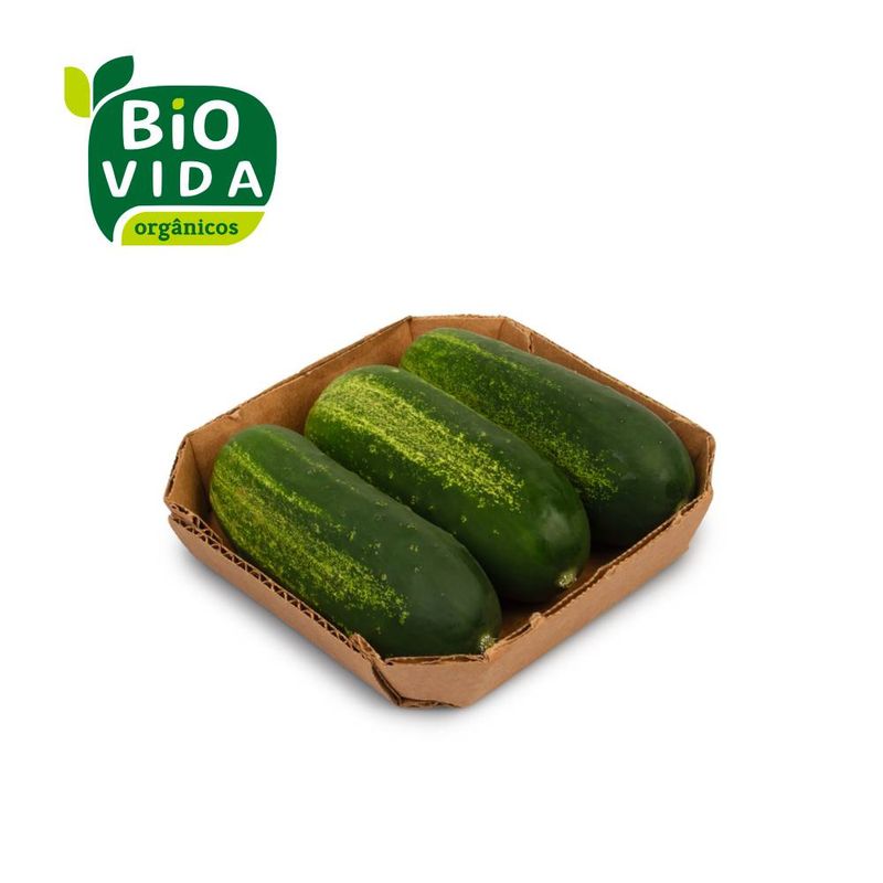 VF4qT-qqCUAAAAAAAAocIA